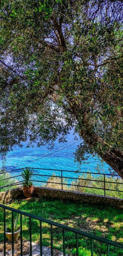 Villa Fourtuna Apartment Άγιος Ιωάννης Περιστερών Εξωτερικό φωτογραφία