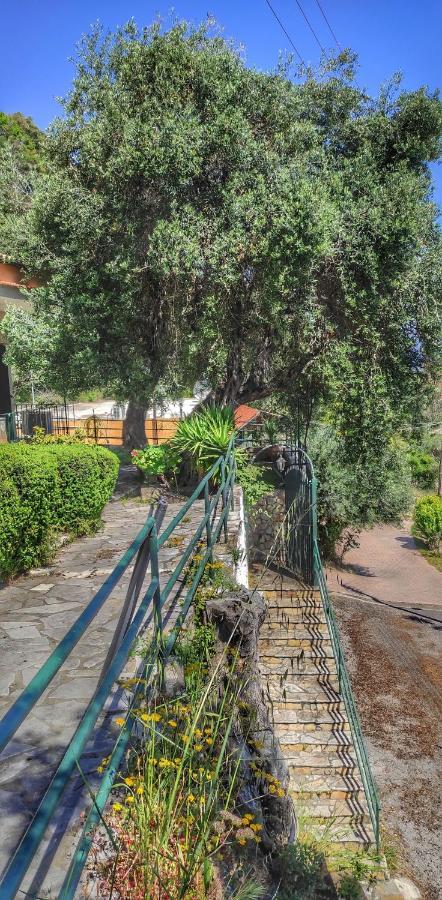 Villa Fourtuna Apartment Άγιος Ιωάννης Περιστερών Εξωτερικό φωτογραφία