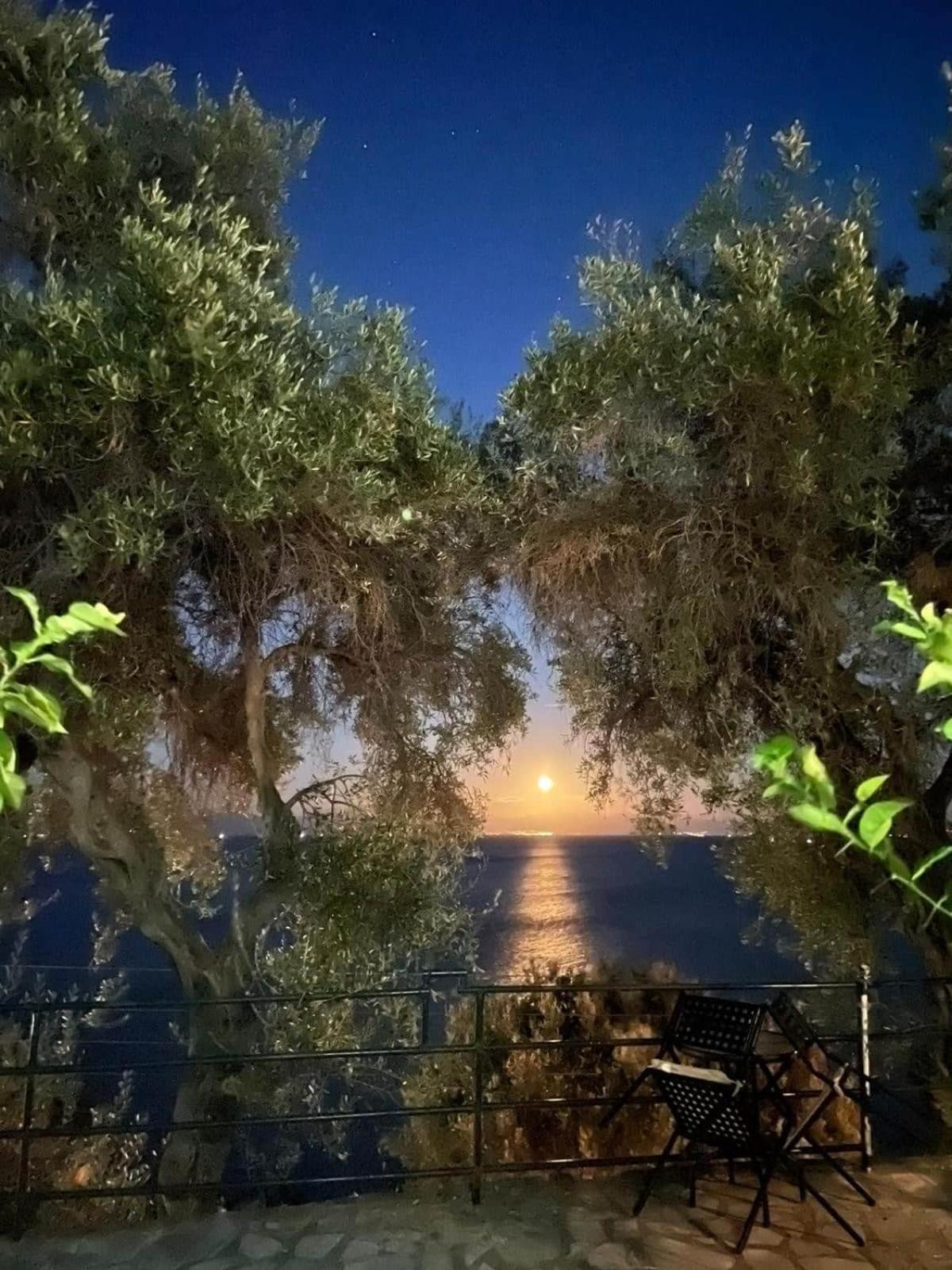 Villa Fourtuna Apartment Άγιος Ιωάννης Περιστερών Εξωτερικό φωτογραφία