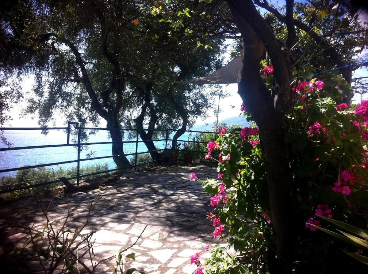 Villa Fourtuna Apartment Άγιος Ιωάννης Περιστερών Εξωτερικό φωτογραφία