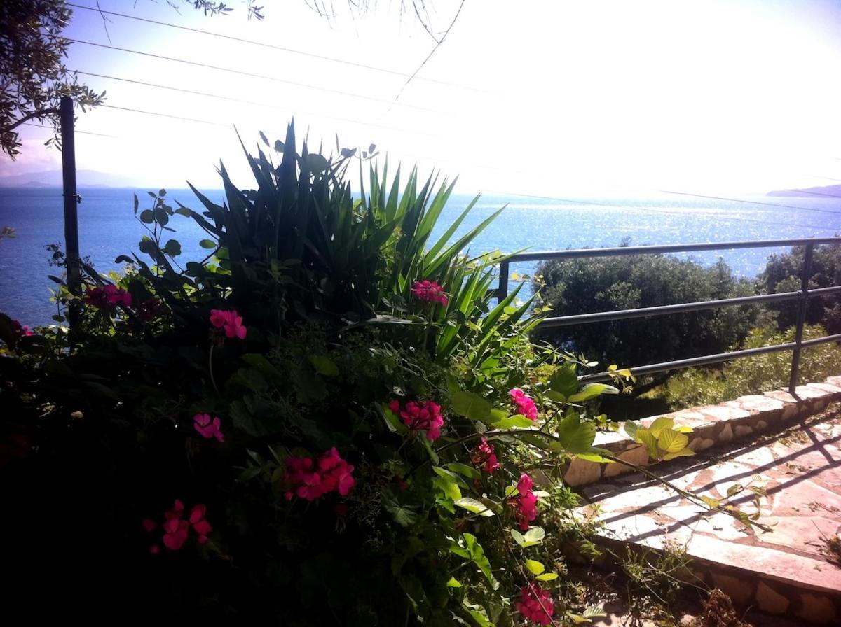 Villa Fourtuna Apartment Άγιος Ιωάννης Περιστερών Εξωτερικό φωτογραφία