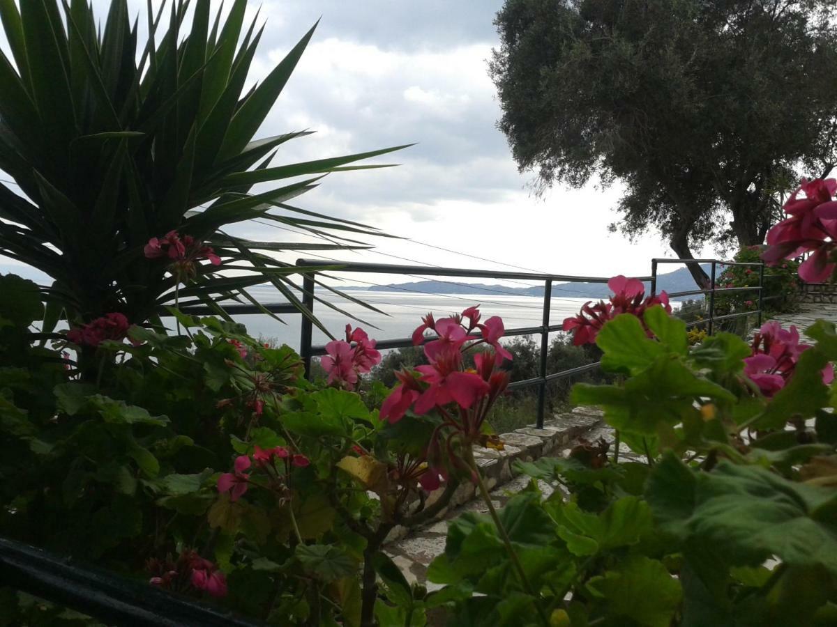Villa Fourtuna Apartment Άγιος Ιωάννης Περιστερών Εξωτερικό φωτογραφία