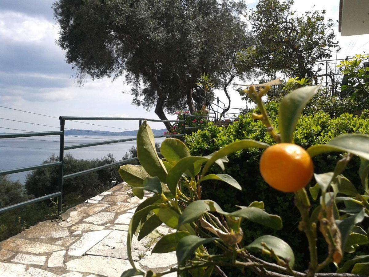 Villa Fourtuna Apartment Άγιος Ιωάννης Περιστερών Εξωτερικό φωτογραφία